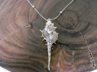Sea Shell Sea Shore Necklace | Boho | Bohemian | Trendy | Sea Shore Necklace | Stylish | House Of Jax Studio