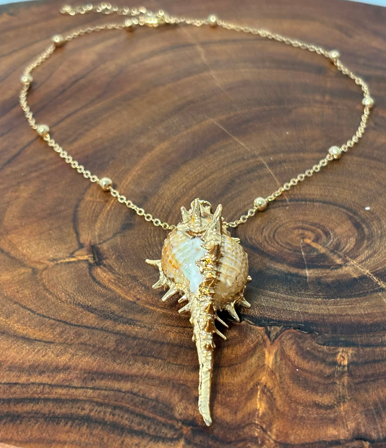 Sea Shell Sea Shore Necklace | Boho | Bohemian | Trendy | Sea Shore Necklace | Stylish | House Of Jax Studio
