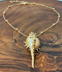 Sea Shell Sea Shore Necklace | Boho | Bohemian | Trendy | Sea Shore Necklace | Stylish | House Of Jax Studio